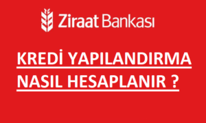 Kredi Yapılandırma Nasıl Hesaplanır ?